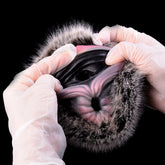 Blazing Cow – Dual Hole Furry Masturbator for Men - DirtyToyz