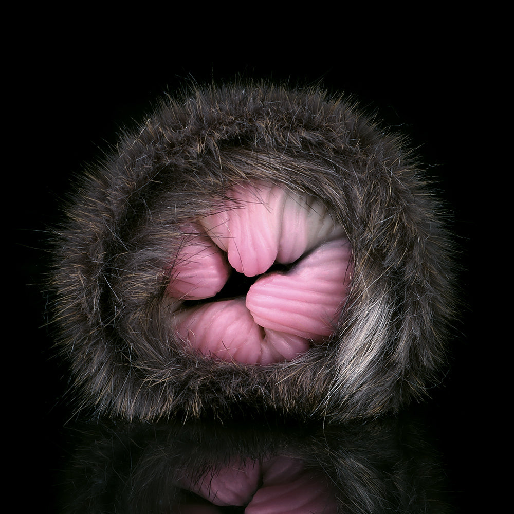Plush Cat – Furry Fleshlight Fantasy Masturbator