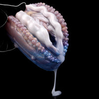 Thumbnail for Deep Sea Clam – Irresistible Fantasy Masturbator Pleasure
