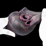 Animal-style dual-opening sex toy held by white-gloved hands