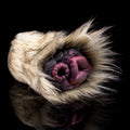 Beige plush furry masturbator with open purple inner cavity and textured edges