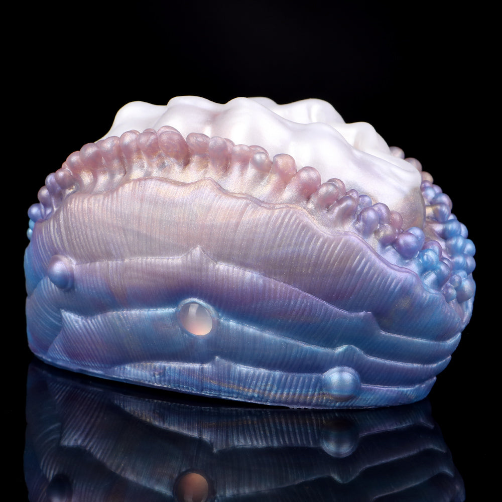 Deep Sea Clam shell top view, beaded border and open wavy inner channel