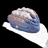 Deep Sea Clam masturbator in blue with white top and beaded purple edge