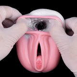 Pony animal masturbator cutaway view, pink inner channels and dark center