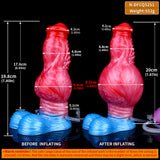 Inflatable knot dildo size diagram: before and after inflating, red-pink and blue