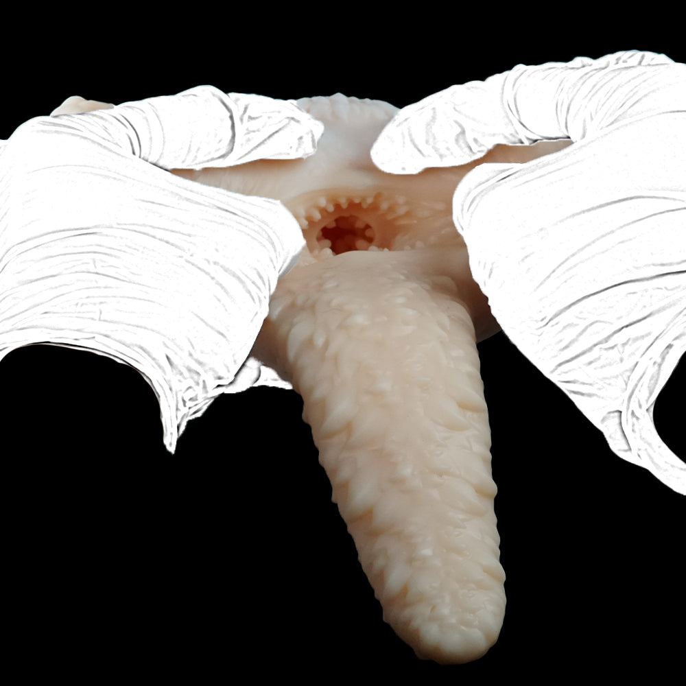 Peach plush cat lying on back with visible opening, held with gloves