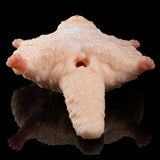 Peach plush cat figure lying on back with visible underside opening