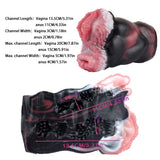 Cutaway diagram of dual-hole masturbator showing labeled vaginal and anus channels