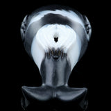 Killer Whale fleshlight, front view with white interior opening and dark lips