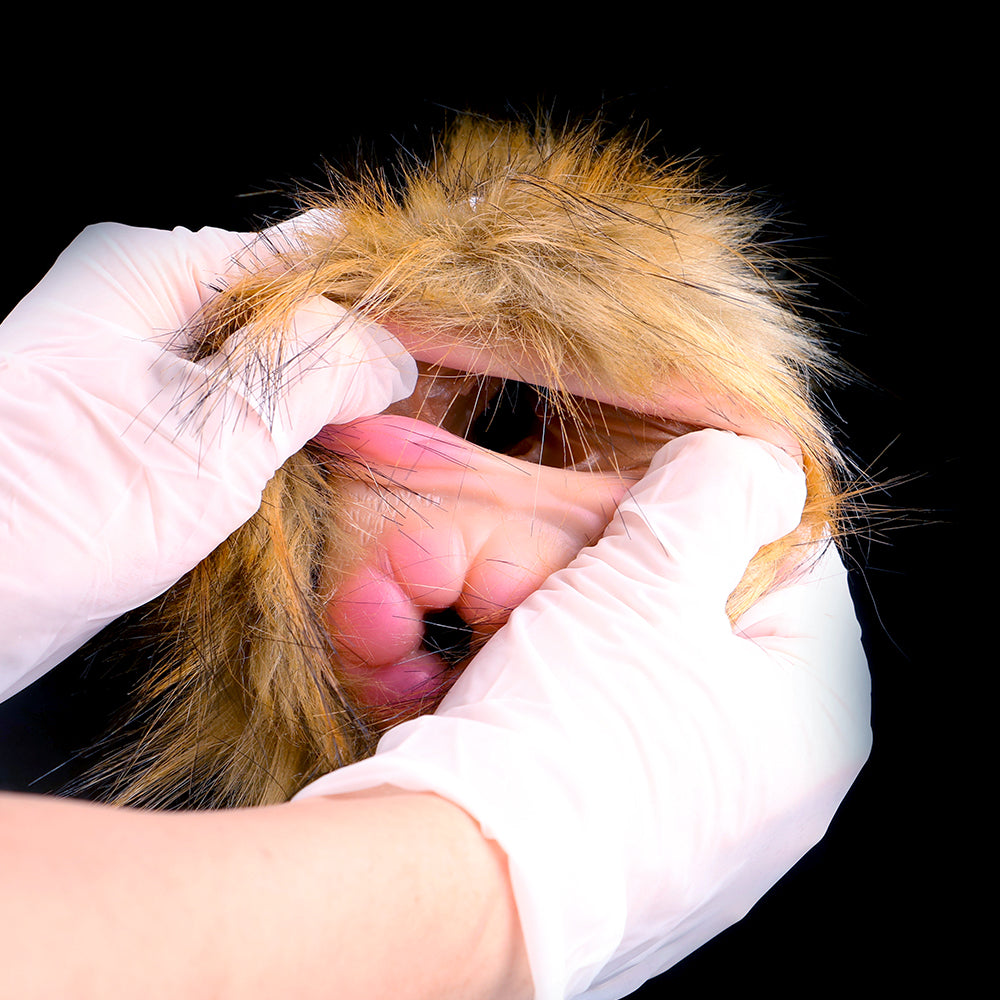 Gloved hands holding the furry hood open on a dual-hole stroker