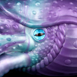 Octopus Qhela extreme close-up, bright blue eye on purple-and-teal textured body