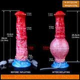 Inflatable dildo height diagram: red top and pink bulb with blue base