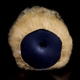 Furry two-hole stroker, tan plush rim with dark circular opening close-up