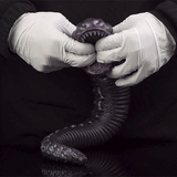 Snake creature toy held by white-gloved hands, dark purple coiled body and open jaw