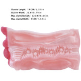 Pocket masturbator cross-section with inner ridges and raised textured pattern