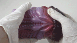 Purple hand-shaped resin sculpture held by white-gloved hands