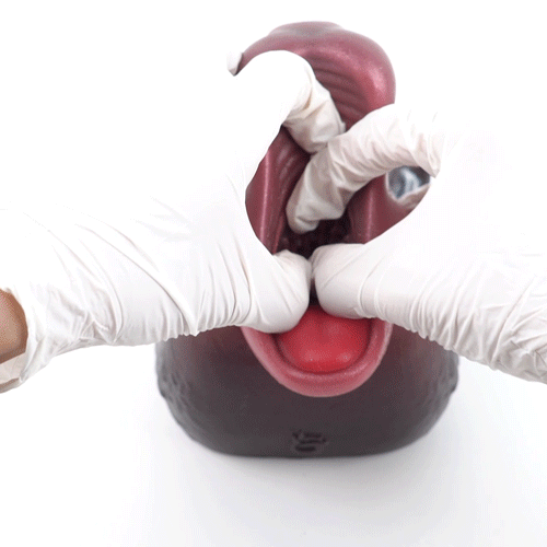 Pink and dark gray cat figurine held by white gloves, close-up face
