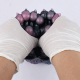 Hands holding monster paw-shaped novelty toy against white fabric backdrop